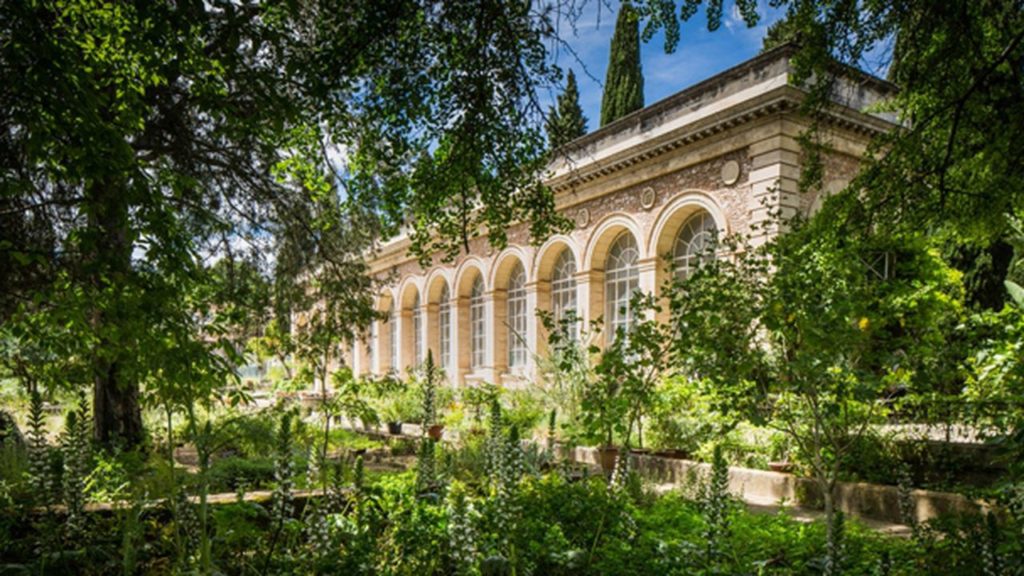 Le jardin des plantes Montpellier